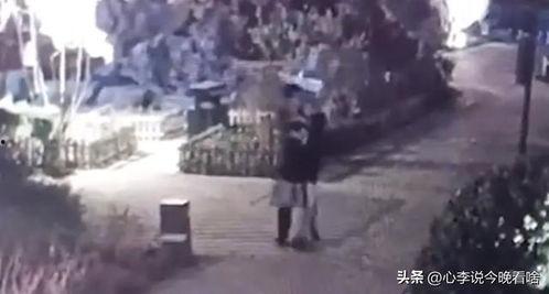 街上免费吃瓜视频,揭秘网络短视频背后的秘密 第2张 街上免费吃瓜视频,揭秘网络短视频背后的秘密 第2张