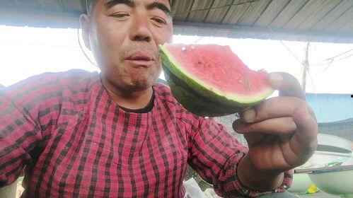 甘肃网红老头吃瓜事件,揭秘网络红人的争议瞬间